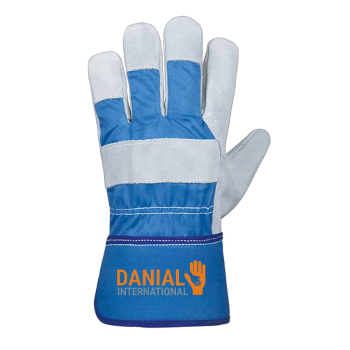 DI 1066 Back Blue Light